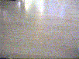 kein Bild / anim. Gif