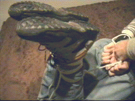 kein Bild / anim. Gif