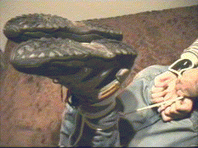 kein Bild / anim. Gif